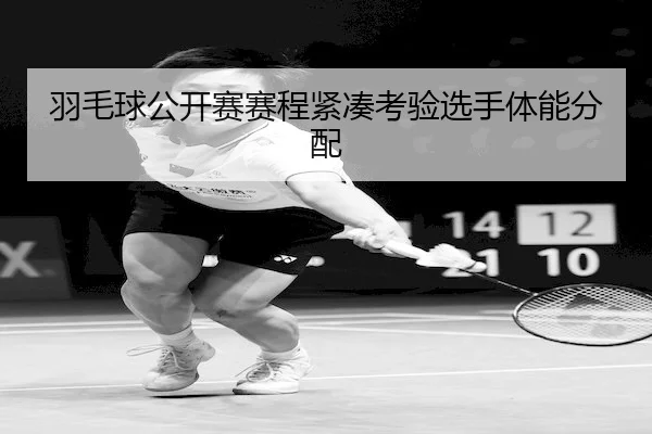 羽毛球公开赛赛程紧凑考验选手体能分配